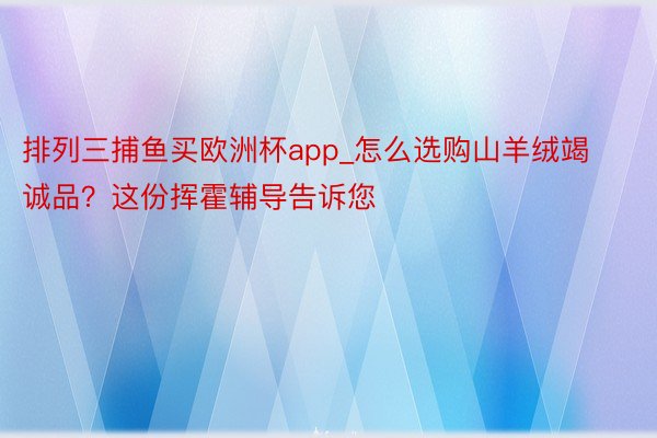 排列三捕鱼买欧洲杯app_怎么选购山羊绒竭诚品？这份挥霍辅导告诉您