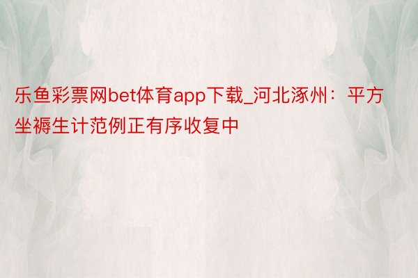 乐鱼彩票网bet体育app下载_河北涿州：平方坐褥生计范例正有序收复中