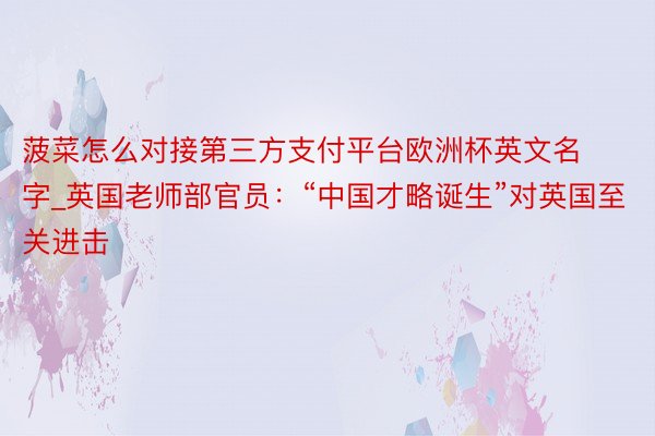 菠菜怎么对接第三方支付平台欧洲杯英文名字_英国老师部官员：“中国才略诞生”对英国至关进击